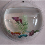 Самые оригинальные аквариумы. Рыбка в иллюминаторе