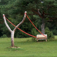 Романтика с экстримом 