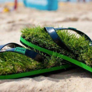 Сланцы с газоном