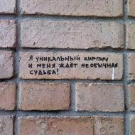 Уникальный кирпич