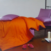 Ультрамодная коллекция однотонного-двухтонного постельного белья для сторонников интеллектуальной классики.Белье состоит из двух оттенков цветов и вызывает интерес своей цветовой палитрой,позволяет создавать свои уникальные варианты исходя из настроения  Постельное белье  Турция  Хлопок  9500  от 5000 до 15000 тенге  комплект  Постельные принадлежности. Постельное белье. Домашний текстиль. Одеяла, подушки. ТД\