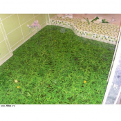 3D панели из композитных материалов для кухонных фартуков. Ремонтно-отделочные работы любой сложности , дизайн интерьера. Изготовление и монтаж натяжных потолков.  Устройство промышленных полов  30000  цена минимальная  кв.м  Устройство фальшпола, промышленных полов 3D ДОМ ИП