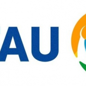 Установка, продажа спутникового телевидения, монтаж, ремонт, демонтаж, шаринг от 2-32 точек и многое другое, качественно, не дорого. Центральное Региональное Телевидение России, Отау ТВ НТВ+ НТВ+восток Триколор ТВ РадугаТВ HOT BIRD телевидение Китая и др  SPUT.KZ | Установка спутникового телевидения в Алматы и Алматинской области  50000  цена договорная  Комплект  Установка, подключение, монтаж, отау тв, радуга тв, телекарта, нтв плюс, ямал, турксат  Другие услуги brabus7@icloud.com