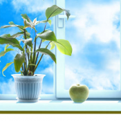 Более 10 лет на рынке. Более 17000 довольных Клиентов! 
Собственное производство. Обратившись к нам Вы получаете теплые качественные окна, двери и витражи от производителя, не переплачивая посредникам!
Отлаженный сервис.  Пластиковые окна, двери и витражи ЛЮБОЙ СЛОЖНОСТИ  10000  Доставка платная    Цена минимальная  м2  Decoplast ТОО