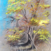 Пастель, тонированная бумага. 
www.yvart.org  мой персональный сайт  29х41см  Карина \