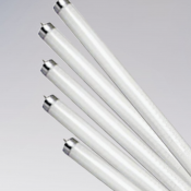 Люминисцентные  - Класс источника света: люминесцентная трубка- Применение: стандартная- Тип лампы: T26 / T8 / T8 / TL-D- Мощность (Вт): 36- Напряжение (В): 103- Ток (А): 0.430-Цоколь: G13- Длина (мм): 1200- Диаметр (мм): 25.78- Класс цветопередачи (CRI): Ra70-  от 5 до 50 вт  Россия  270  шт  от 50 до 500 тенге  36  Лампы накаливания и энергосберегающие. Лампы светодиодные, галогеновые и люминесцентные Энерготех АСК ТОО