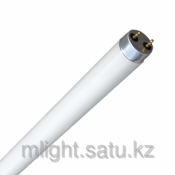 - Мощность: 18Вт.

- Цоколь: G13.

- Цветовая температура: 6400K.
- Световой поток: 960lм.  Диаметр: 25мм. - Длина: 650мм.  Люминесцентные лампы Трубчатые - Тип Т8  Philips  140  шт  AKSUMBE Mlight ИП