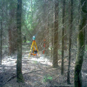 Подеревенная съемка требуется как для разработки проектов ландшафтного дизайна участка, так и для изготовления проектов строительства, стройгенпланов, когда необходимо спроектировать основные конструктивные и планировочные решения.  Подеревенная съемка (инвентаризация зеленых насаждений)  25000  Прочее TPS-Эксперт ТОО