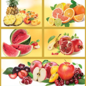 Premium  194*204  Фруктовое ассорти  19100  Доставка входит в цену  0  1  Premium  DECOR VITA ИП