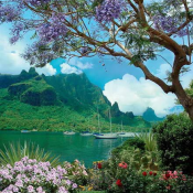 Luxe  ширина 49*длина 70  Адриатика  250  Доставка входит в цену    шт.  Luxe  DECOR VITA ИП