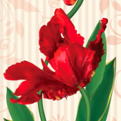 пр-во Украины Ника  р.49*70  Дуэт  250  Доставка входит в цену    шт.  пр-во Украины Ника  DECOR VITA ИП