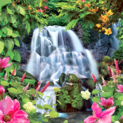 пр-во Украины Ника  р.49*70  Камелия  250  Доставка входит в цену    шт.  пр-во Украины Ника  DECOR VITA ИП