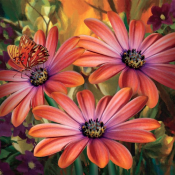 пр-во Украины Ника  р.49*70  Маргаритки  250  Доставка входит в цену    шт.  пр-во Украины Ника  DECOR VITA ИП