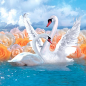 пр-во Украины Ника  р.49*70  Откровение  250  Доставка входит в цену    шт.  пр-во Украины Ника  DECOR VITA ИП