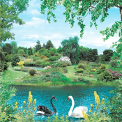 пр-во Украины Ника  р.49*70  Равновесие  250  Доставка входит в цену    шт.  пр-во Украины Ника  DECOR VITA ИП