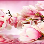 Тула VIP 6 листов  65*98  Магнолия  6900  Доставка входит в цену    шт.  Тула VIP 6 листов  DECOR VITA ИП