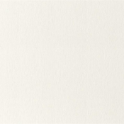 Обои виниловые  10,05*1,06м.  914-20  8700  Доставка входит в цену    рулон  Status  DECOR VITA ИП