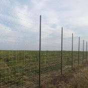 Установим ограждения из сетки,ограждения полей.
Плодово садоводческих насаждений от животных.  метр погоный  Ограждения  Договорная  Ресурс ТОО