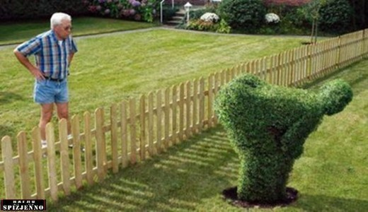 Как правильно троллить соседей!