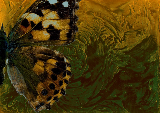 Декоративная штукатурка - любимый дизайнерами материал для отделки стен