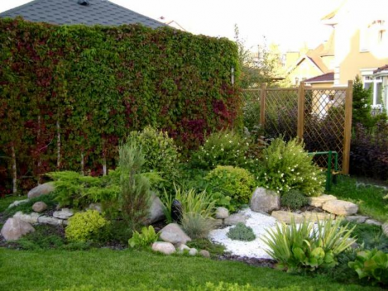 Красота на вашем участке