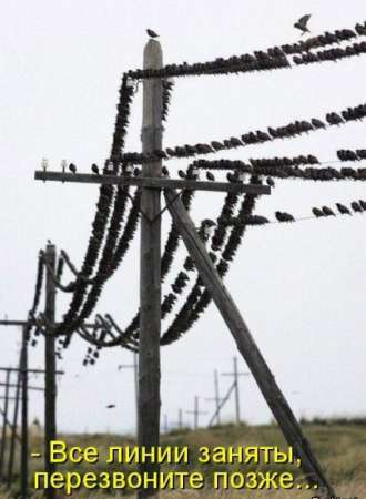 Улетная конференц-связь