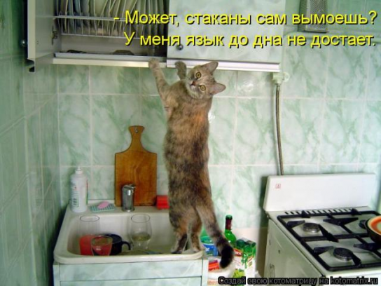 Мойщик посуды