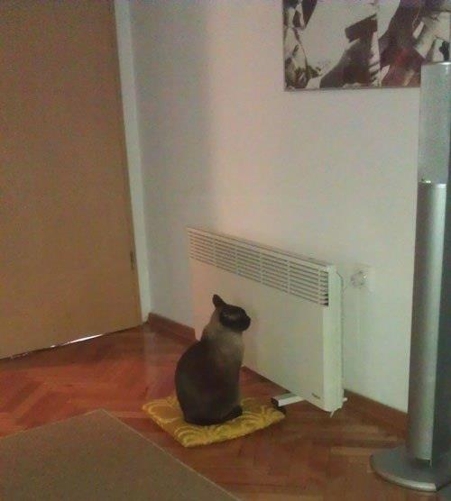 Это моя любимая батарея!