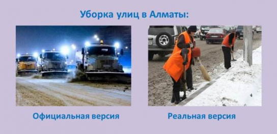 Суровая правда