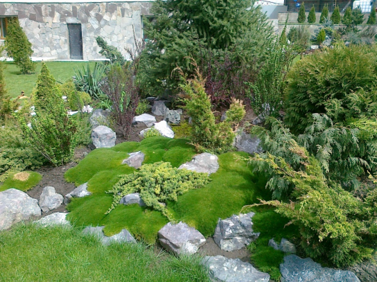 Услуги ландшафтного дизайна в Алматы