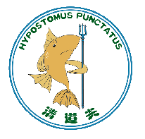 ИП, Dandong Shifa Industry Filter Cloth Co.ltd, 1 Строительный портал, все для ремонта и строительства.