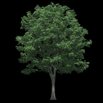 ИП, Ясень, 1 Строительный портал, все для ремонта и строительства.